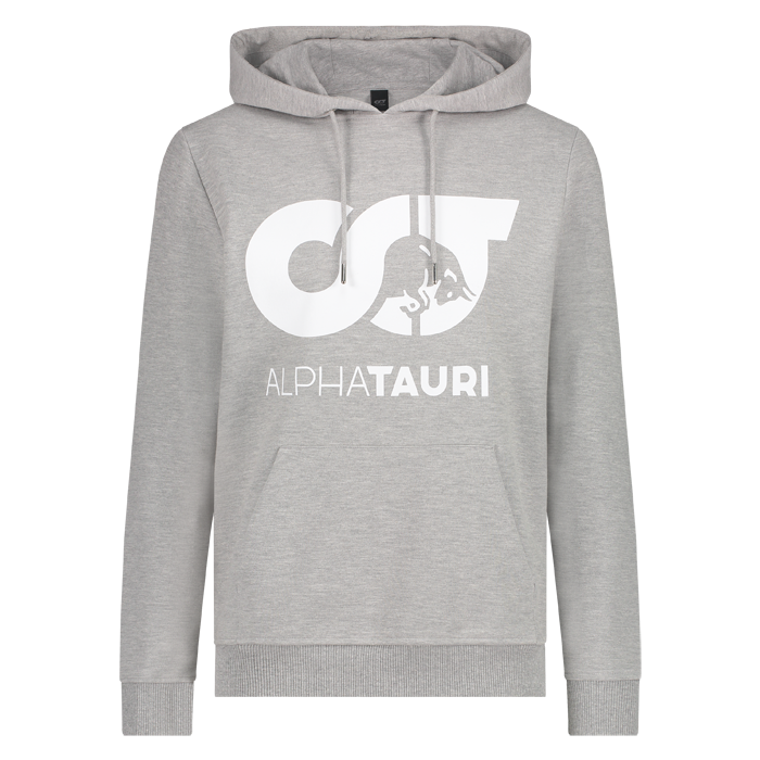 Alpha Tauri Soft hooded sweat grey