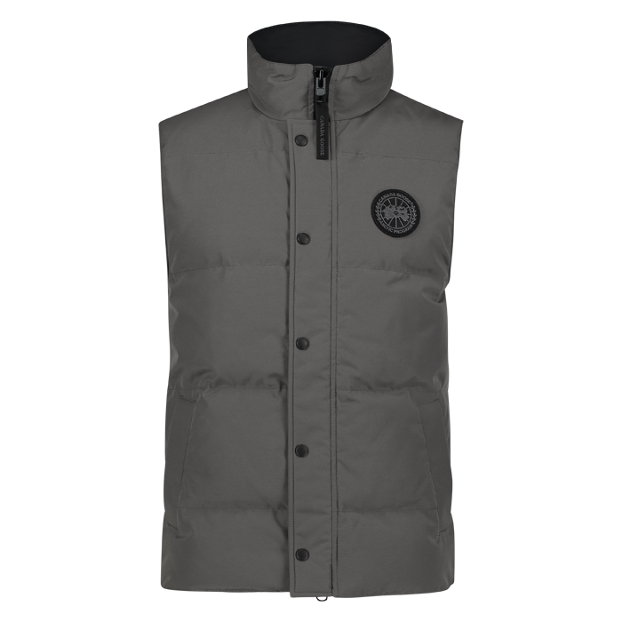 grey canada goose